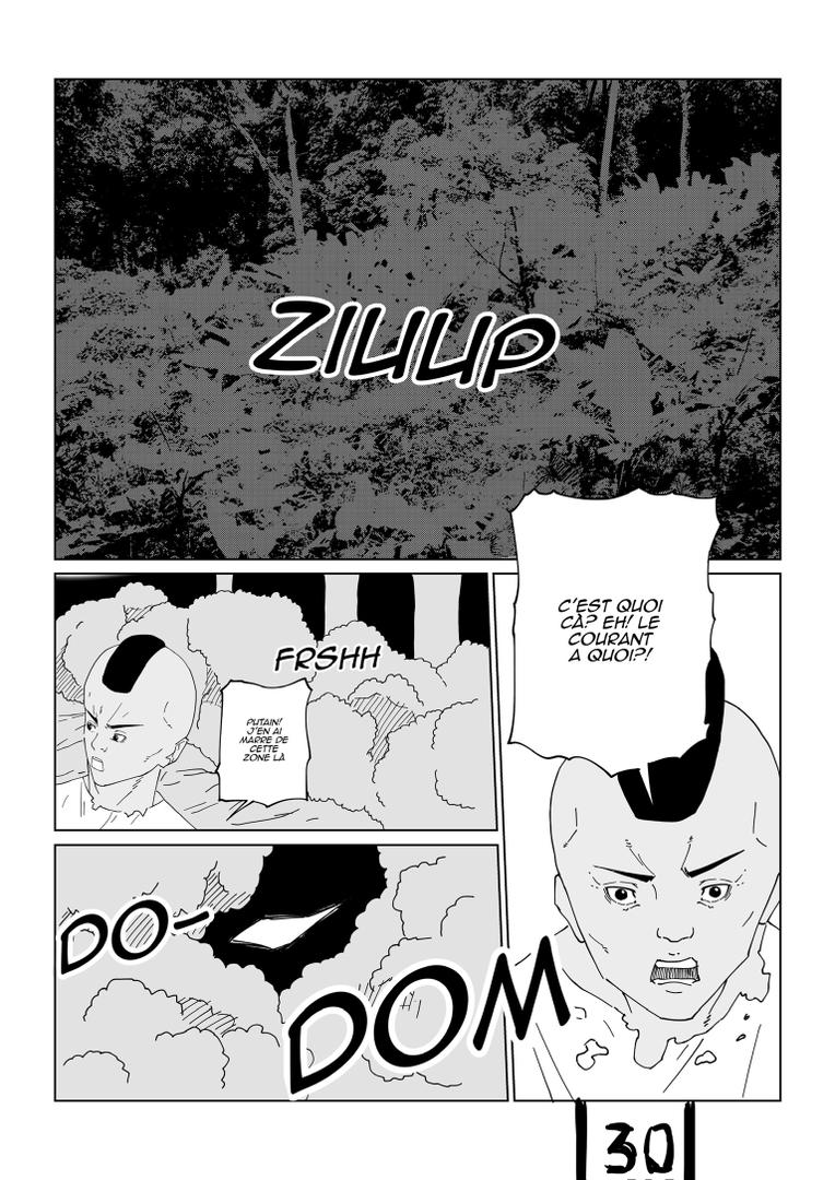 Planche 33